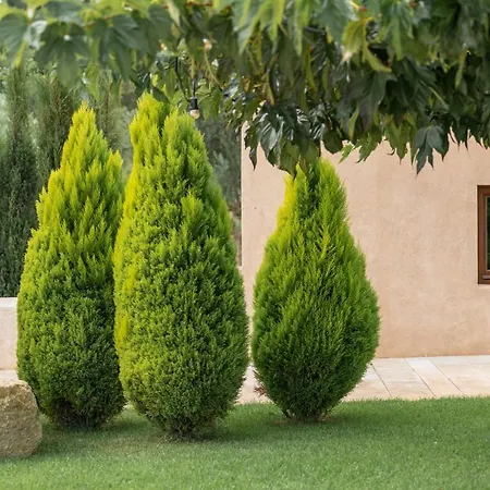 Safragell Ibiza & Farm stay Sant Llorenc de Balafia