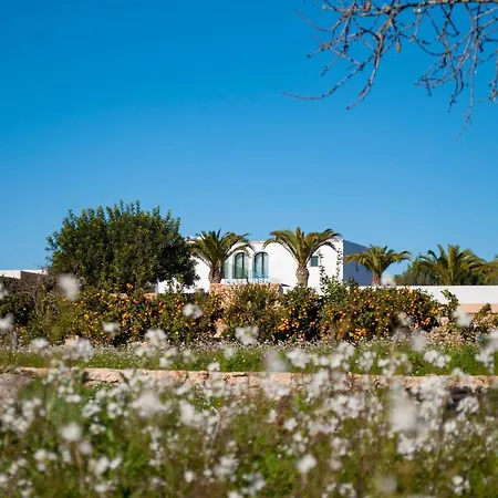 Safragell Ibiza & * Sant Llorenc de Balafia